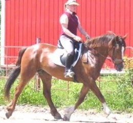 Foothills Ruby